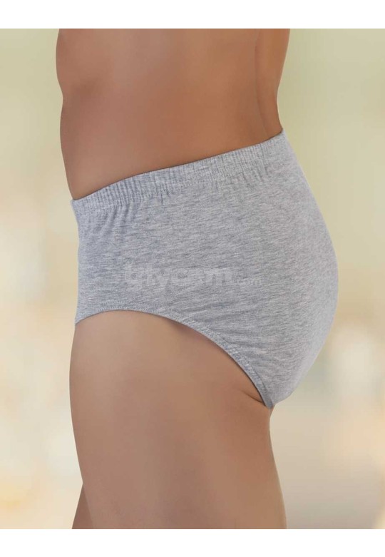Şahinler Penye Erkek Külot Slip Gri ME009-GR
