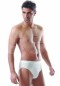 Erdem Erkek Slip 1340 Fırsat Ürünü (Beyaz-L)