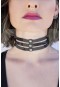 Vip Club Harness Tasma 807