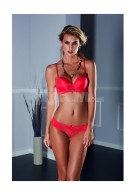 www.pijamafoni.com-Pierre Cardin-PİERRE-CARDİN-4564_EKRU-01