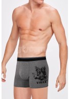 www.pijamafoni.com-Kom-KOM-TIGER-01