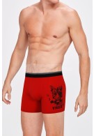 www.pijamafoni.com-Kom-KOM-TIGER-01